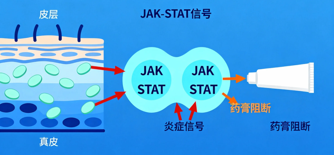 1764753516548451.png 5f2a0ccb55285897cd3bdf621afef9a8.png