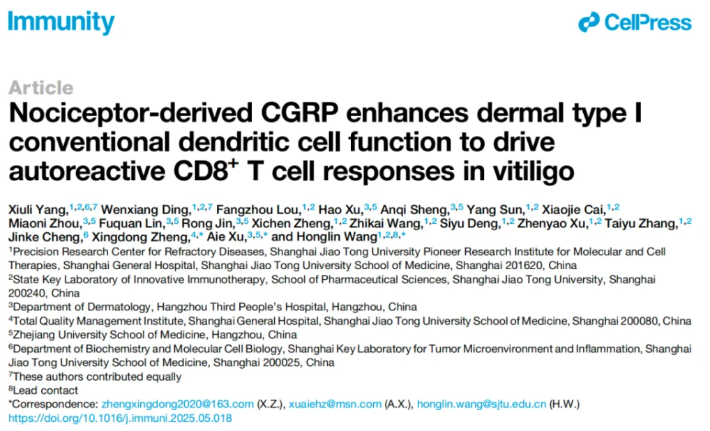 1766396381644665.png 7fa7dd09fb402bfa3e4bf9fc56aaae0d.png