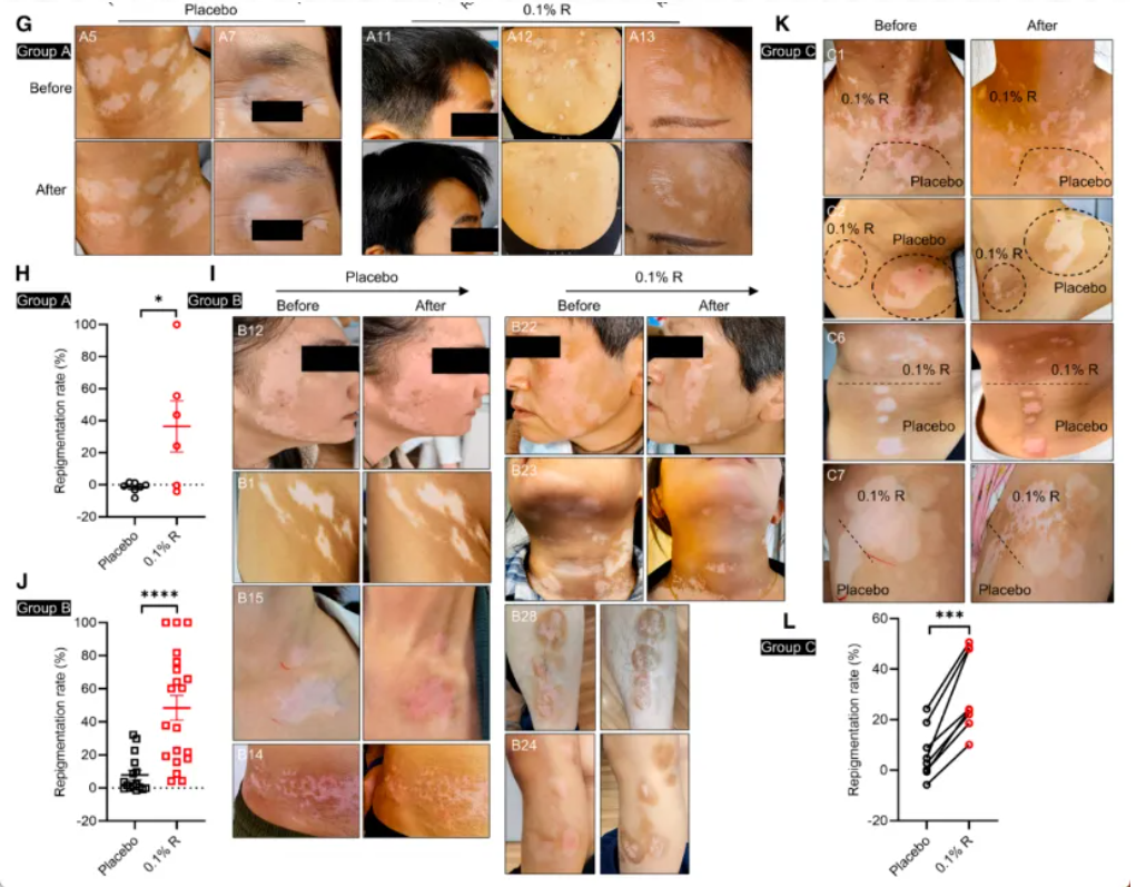 1766396416982955.png 02be8a10961a1fc68a0ca0a9827f2632.png