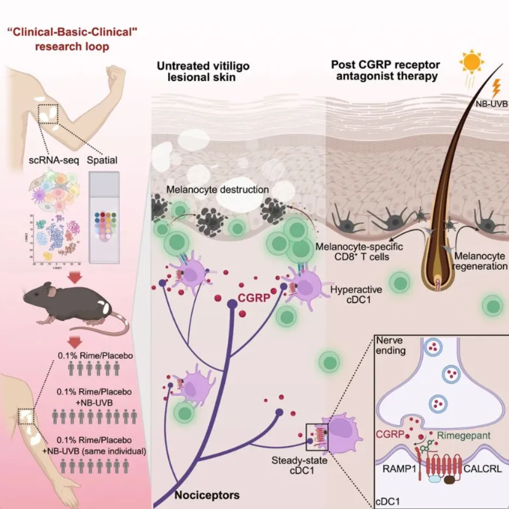 1766396437611744.png 1b4a7b38d528a150dd76d01cbb52e529.png